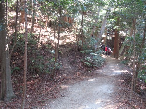 登山道